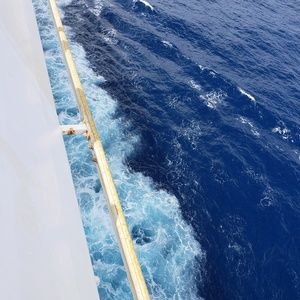 Meet your Posher, Shelby